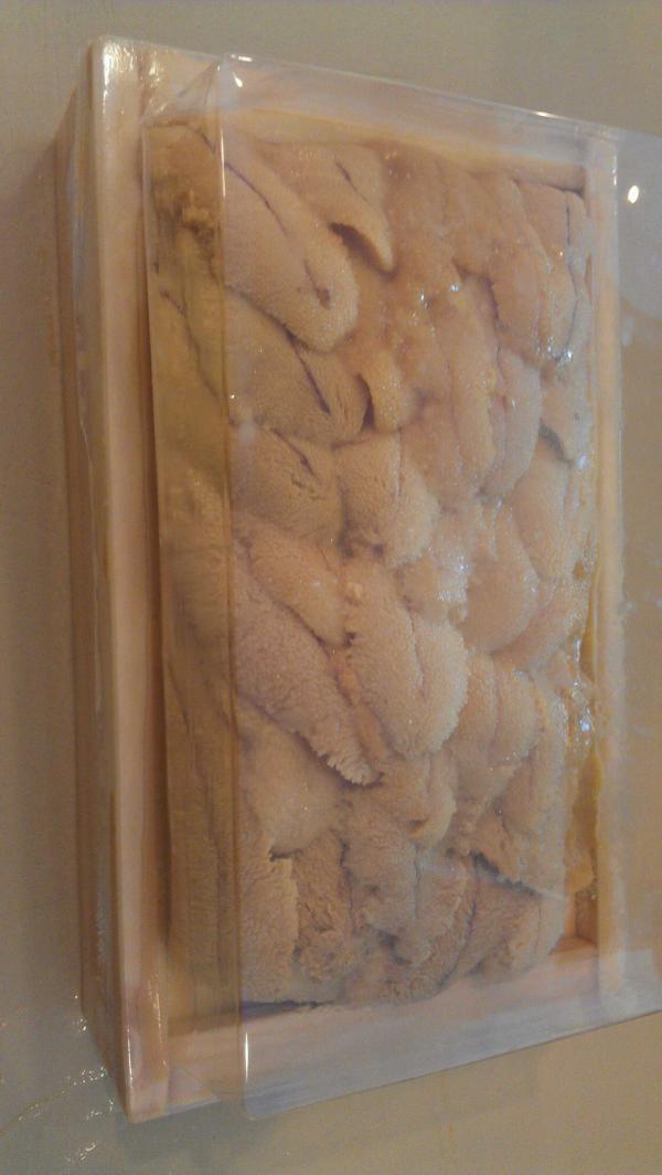fusionwok's tweet photo. this weekend special uni(sea urchin) tempura roll and sushi or sashimi http://t.co/QZEEyD4y