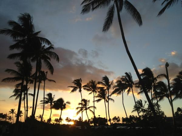 sikepro's tweet photo. wonderful! http://t.co/Fgcs639J