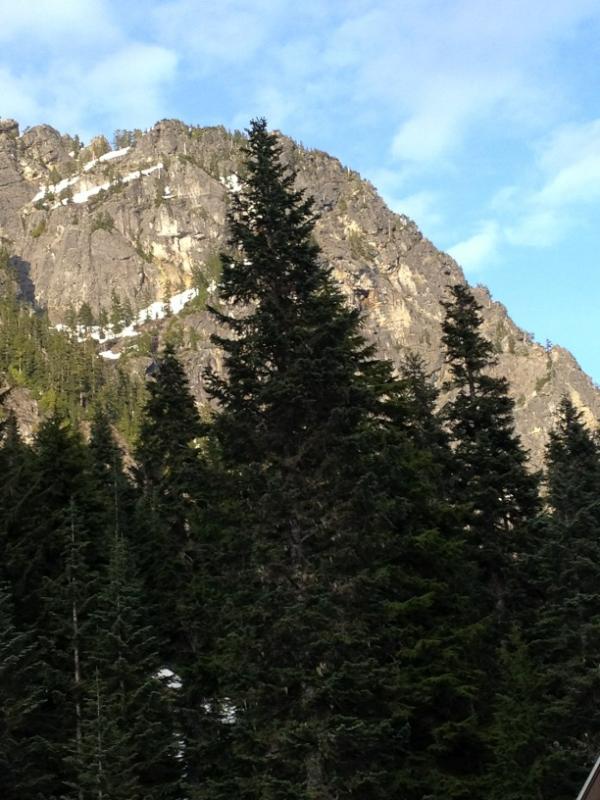 jbrendanmoore's tweet image. Grounded in the spiritual connection of the Alpental valley