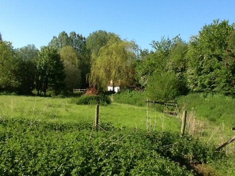 Beautiful Sat morning