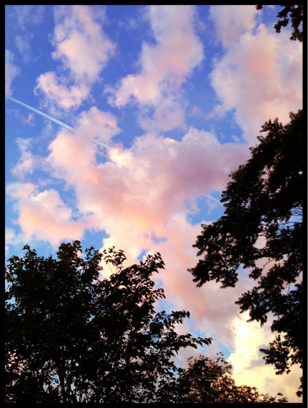 Wondrous pink clouds floating over my #Toronto