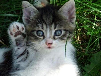 imssh89 tweet picture