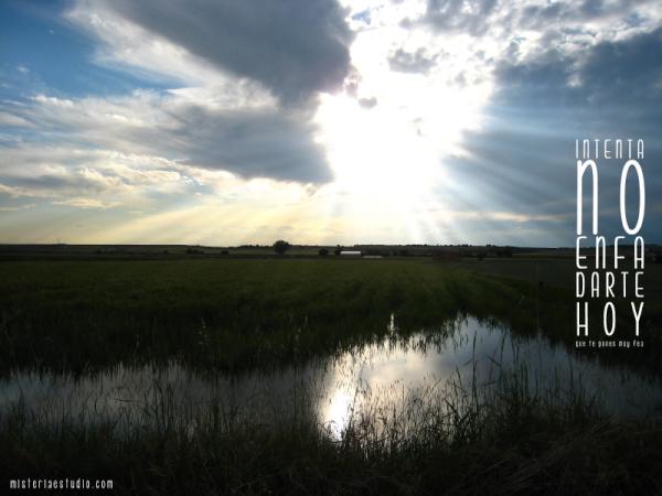 MISTERIAESTUDIO's tweet image. Feliz Viernes!!! hoy nuestro #FF es para estos campos de trigo verde de la campiña alcarreña #guadalajara #marchamalo