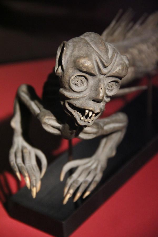quaibranly's tweet photo. RT @peccadille: Exhibition, @quaibranly Montage taxidermique : une sirène http://t.co/40q6cxtF #photo #ExInSa