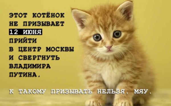 openforum_2012's tweet image. Кстати