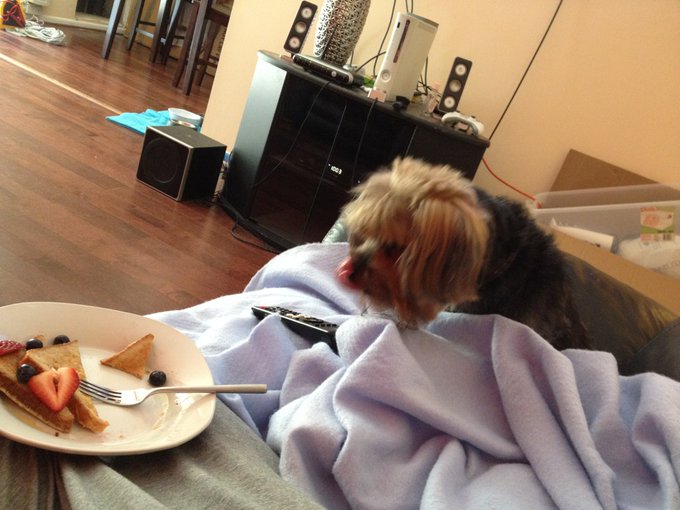 My hungry dog :) http://t.co/kqx5xYGR