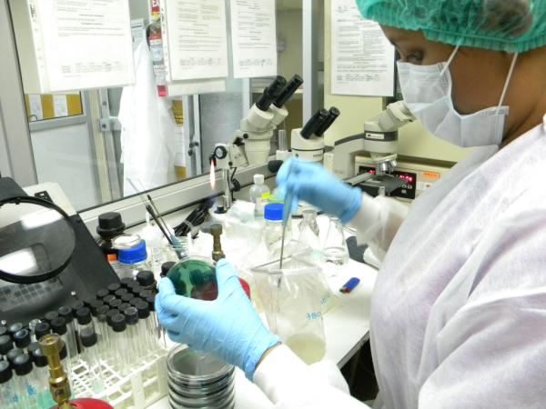 LabProtal's tweet image. Laboratorio de Microbiología