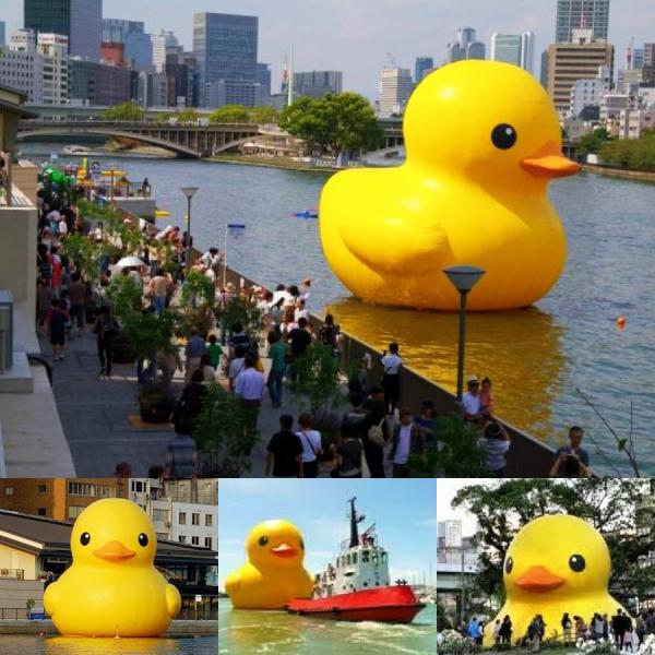 A Dutch artist is traveling around the world with his Gigantic Rubber Duckie to bring people happiness!!