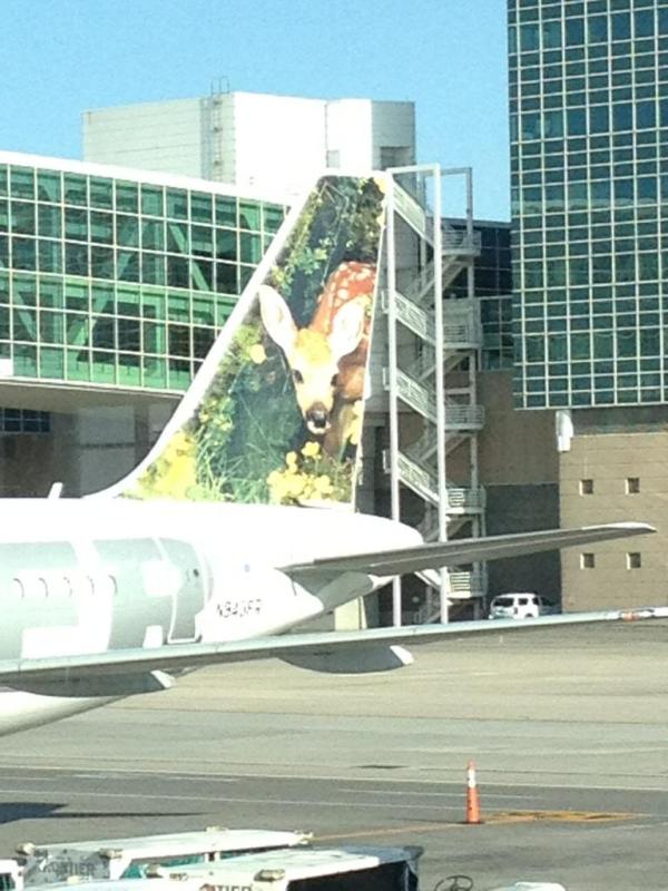 Jever11's tweet photo. #FrontierAnimals hiding out at DIA http://t.co/YbXRfZkK