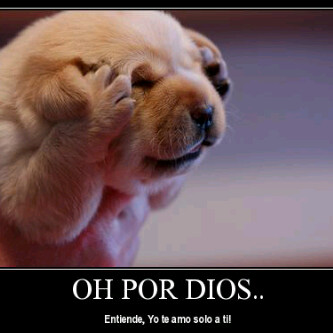 littlepapi1's tweet photo. http://t.co/NbjHYFBn