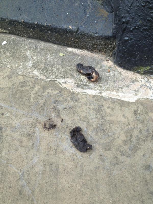 Pootition's tweet image. “@saulshire: @Pootition enjoying the sun all crispy dried on Gibson square today. http://t.co/ei8hEQQe" looks like it's been there a while.