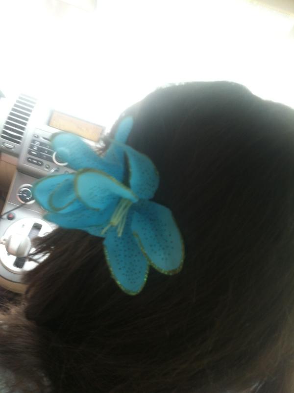 amandaparziale's tweet image. Hopefully a bee doesn&apos;t attack her #pettproblems