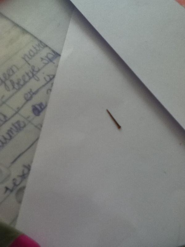 dvanzandvoort's tweet image. Oke, deze splinter zat net half onder m'n nagel in m'n duim :o deed super veel zeer #supergroot