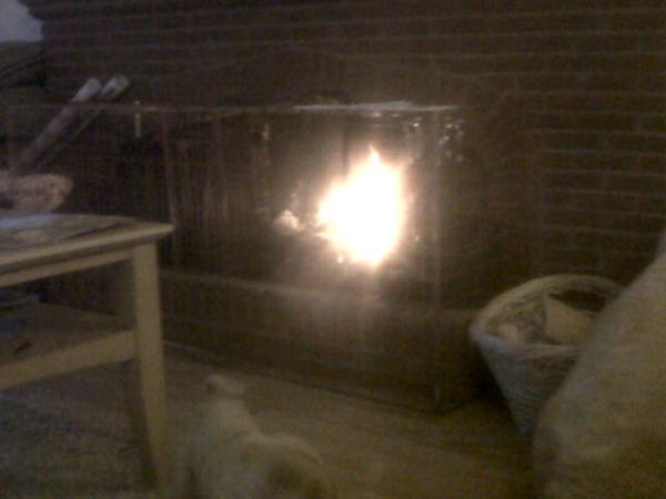 sweeney_shannon's tweet image. The fire :/ #nottrusted