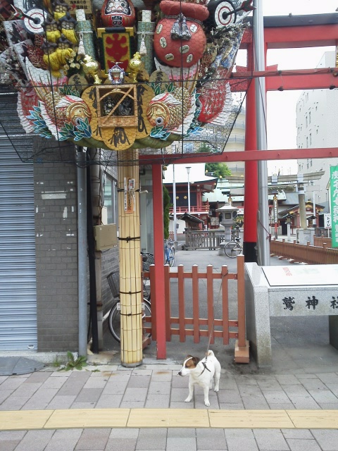 スカイツリーの帰り道鷲神社で休憩‥本日も 商売繁盛を神頼み http://t.co/3cbdb0VV