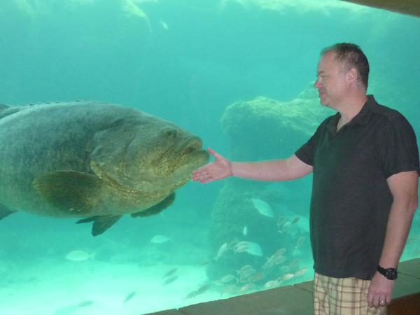 After a few minutes staring, the fish didn't blink. So, I resigned.