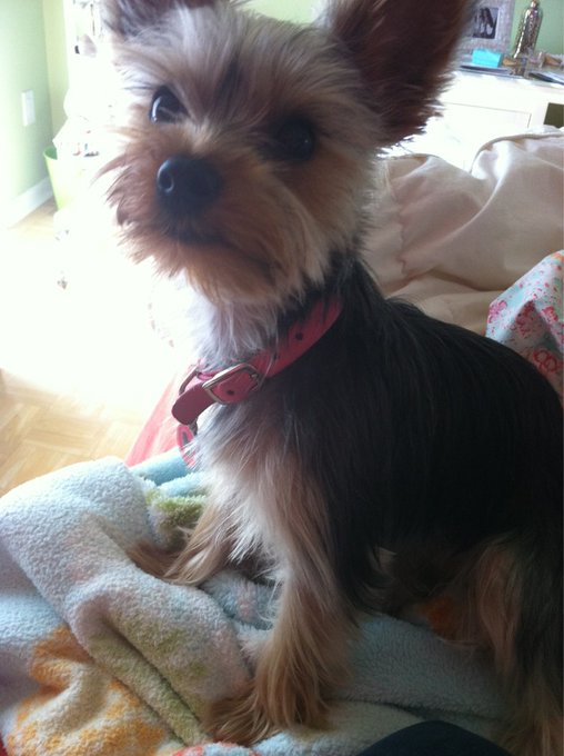 Watch Shelby Chesnes's leaked NSFW photo on TwXstars