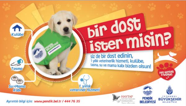 SOKAKTAN BİR DOST EDİNİN 1 YILLIK VETERİNER HİZMETİ KULUBESİ TASMASI MAMA KABI PENDİK BELEDİYESİNDEN