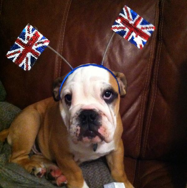 SpudCelebJuice's tweet photo. Happy Jubilee weekend! x http://t.co/cp3TmM3A