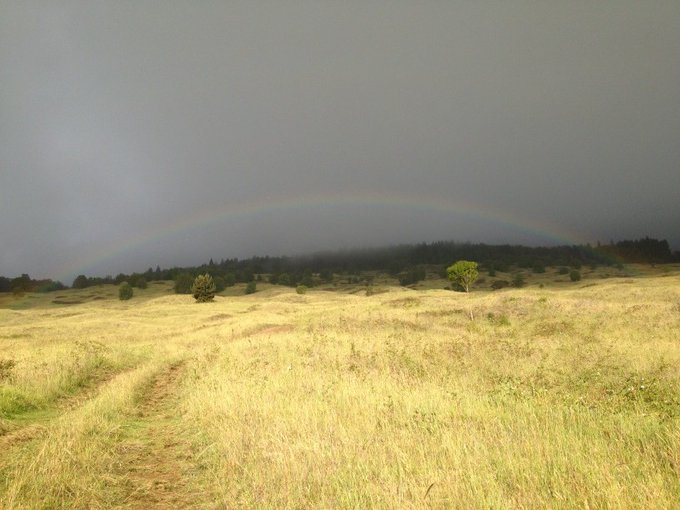 Watch Oprah Winfrey's leaked NSFW photo on TwXstars