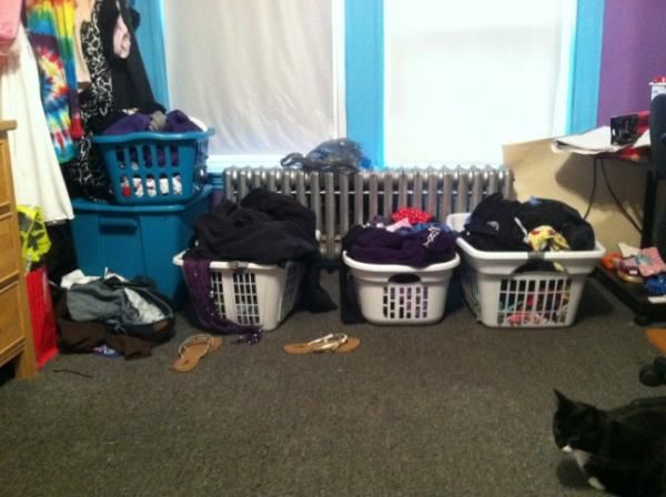 Ickyvicki_ewew's tweet image. I guess I should put away my 4 baskets of clothes now. #fuck #hellocat