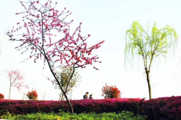 wangci88's tweet photo. http://t.co/vPfOqr2v