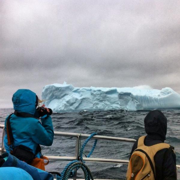 IcebergQuest's tweet image. Join us? Tour from #StJohns Harbour 1pm today. Saw #puffins, #humback &amp;amp; #iceberg Saturday @MurrayPremises @VOCMNEWS RT