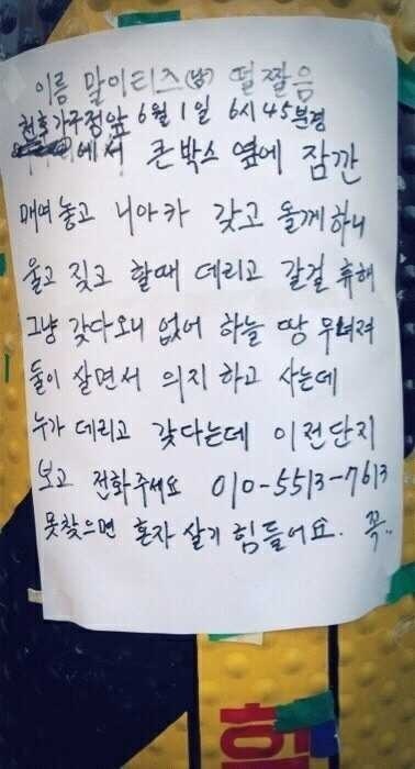 PingpingYea's tweet photo. 할아버지가 강아지랑 혼자사셔서 강아지 사진은 없나봐요 ㅜ.ㅜ 글에서 할아버지의 절절한 마음이 느껴지네요 제발 찾았으면.. ㅠㅠㅠㅠㅠㅠㅠㅠㅠㅠㅠㅠㅠㅠㅠㅠ http://t.co/DJm2zfX9
