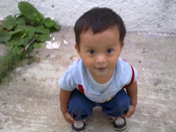 AnyReCa tweet picture