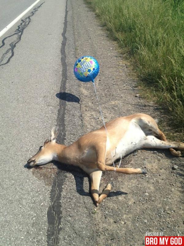 d310n_w's tweet image. hahahaha