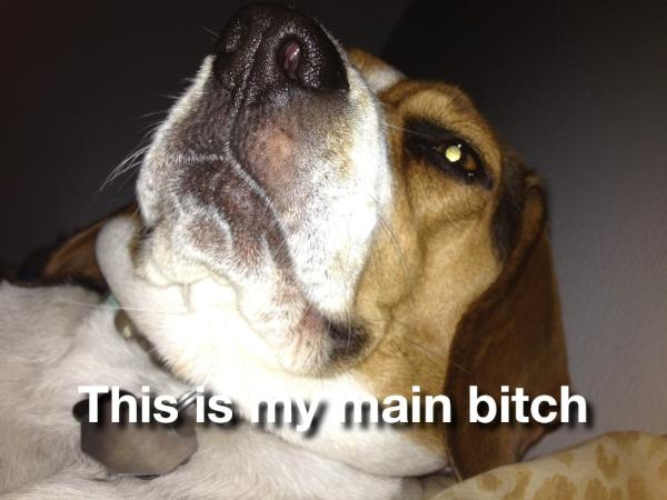 BlogOfMySecrets's tweet image. #IdCapThat. :)