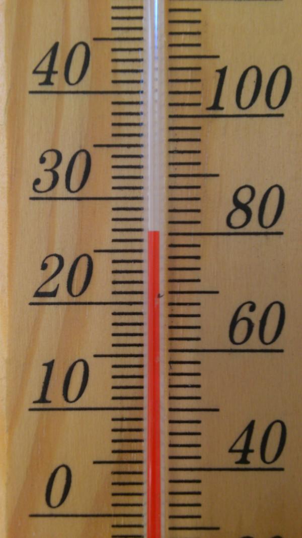 Lasha Abuseridze tweet media