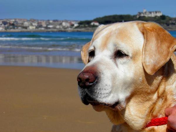 Eder Aurre tweet media