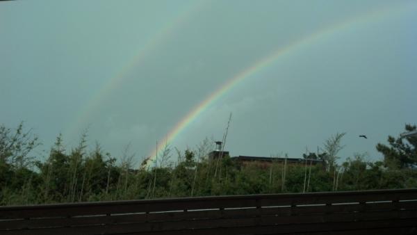JustinLloydSmit's tweet photo. Fire Island NY, Awesome!!! Beautiful Beaches, Boardwalk Living, and double rainbows http://t.co/NFbnEeHU
