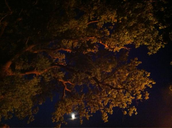 TheFalltones's tweet image. Cool pic. And a full moon.