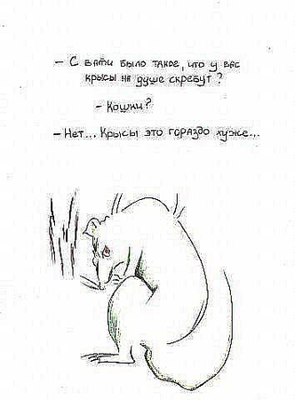 мыши скребут. хвост мыши. сказочная крыса. мышка полевка на белом фоне. мыши скрести.