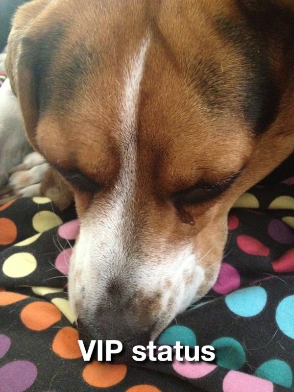 BlogOfMySecrets's tweet image. #IdCapThat I love her &amp;lt;3