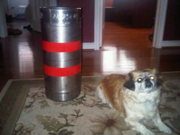 JulsGermansky's tweet image. Trophee sister right here for getting my sister a keg for her 20th #thatishowitsdone
