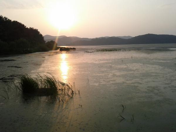kimquiz's tweet photo. 창녕 우포늪의 석양 혼자보기 아까워서 찰칵! http://t.co/tss6SXV4