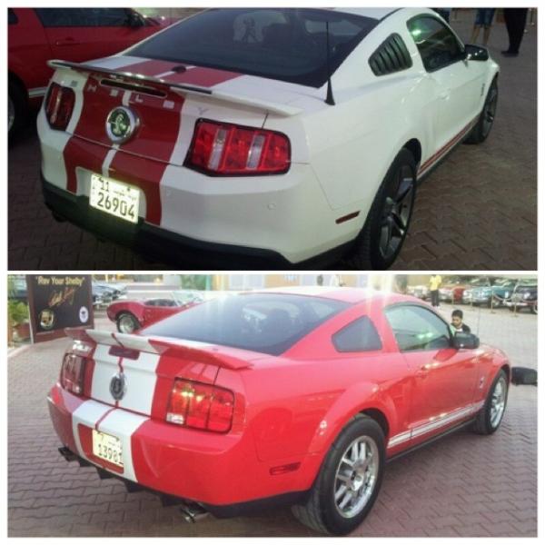 جيلين من موستانغ كوبرا شلبي GT500 من إحتفالية كارول شلبي في متحف السيارات