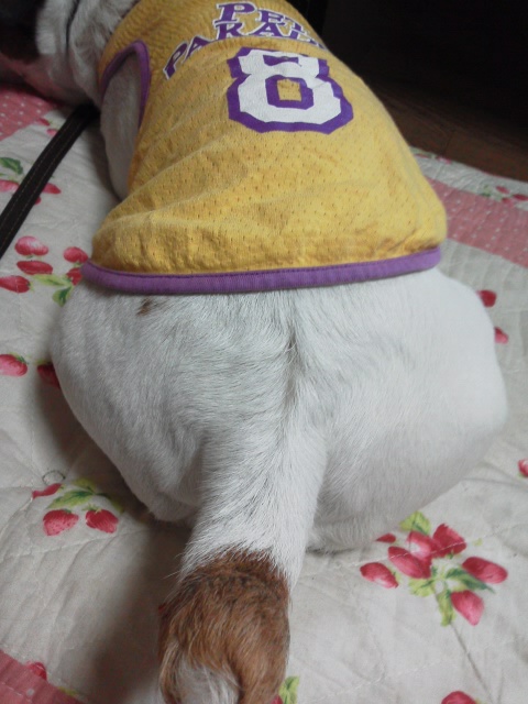 香川の背番号⑧に決まったら個人的にうれしー(*^^*) http://t.co/p49CNB4W