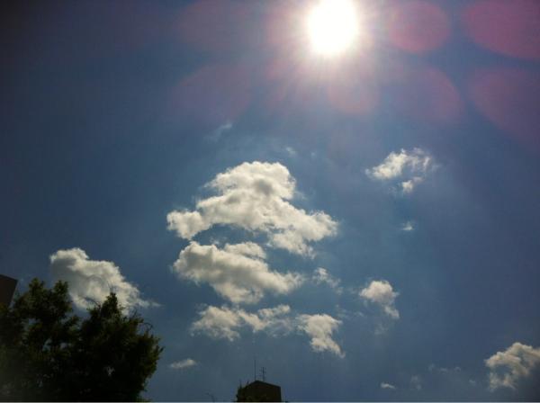 JYR_Lizzy tweet picture