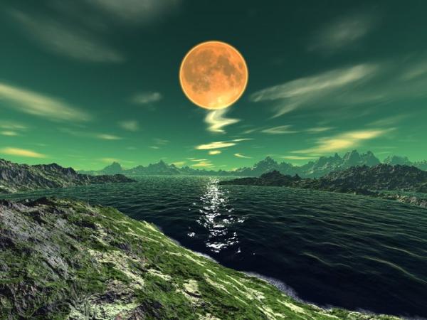imssh89 tweet picture