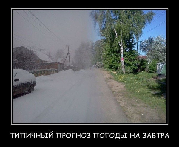 ливневые дожди. погода смешное. погода смешное. шутки про погоду. какая прекрасная погода.