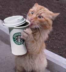 GetSmarta's tweet photo. 1st day back in the office after the Jubilee Weekend... Think this calls for a STRONG coffee #gottostayawake http://t.co/UqrXWC8G