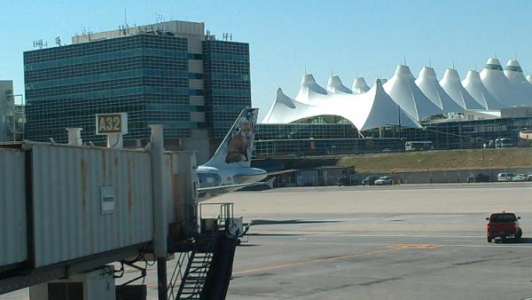 FlyFrontier's tweet photo. Bored at work? How 'bout some trivia? Name this foxy lady... #FrontierAnimals http://t.co/Fs2b1Buk