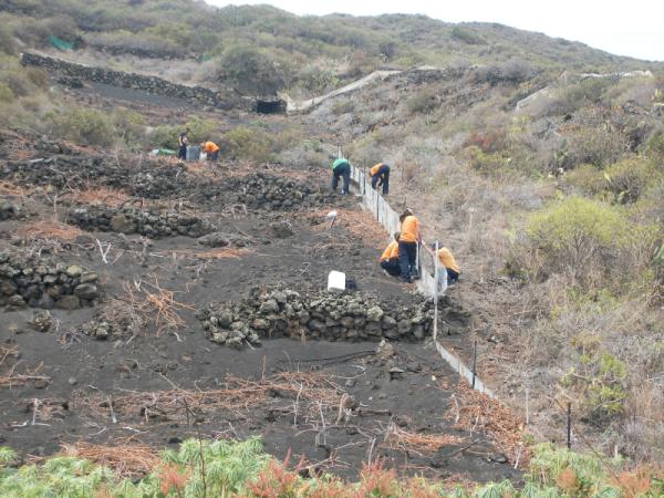 EL PROYECTO DE RECUPERACIÓN DE VIÑEDOS DEVUELVE LA ILUSIÓN A LOS VITICULTORES facebook.com/notes/vinos-de…