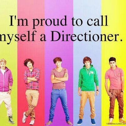 MiniMii_1D's tweet photo. PROUD DIRECTIONER.... RT IF YOU ARE THIS <3 x http://t.co/BHBopnb0