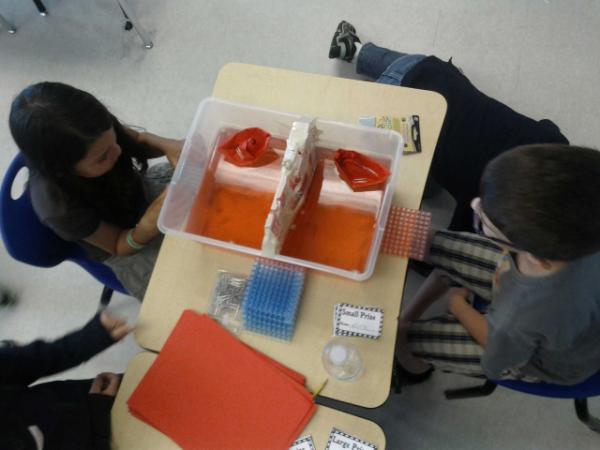 Lisa_Donohue's tweet image. Whoa...check out THIS game if skill and luck!  #probabilityfair