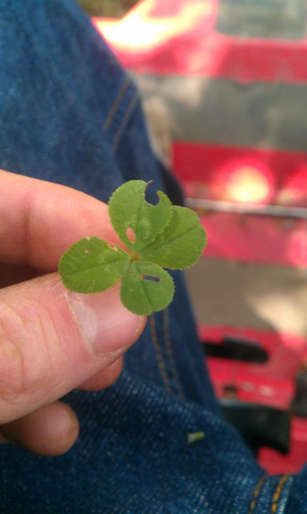 ABirdiesEyeView's tweet photo. Not sure if this will help my golf game but ill take it! http://t.co/5jpX1vz3